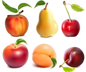 Different juicy fruit vectors material 01