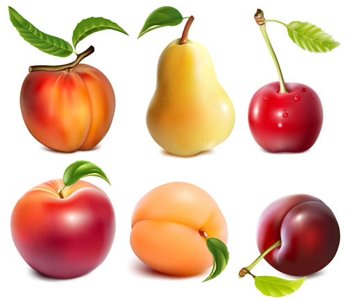 Different juicy fruit vectors material 01