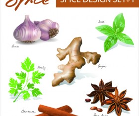 Different spices design set vector 01