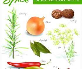 Different spices design set vector 02