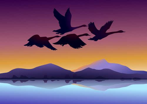 Flying swan with sunset background vector 01