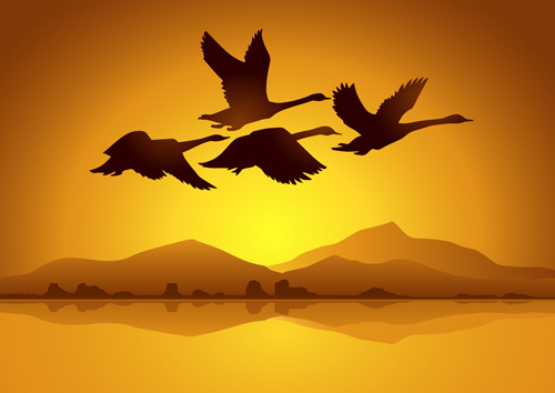 Flying swan with sunset background vector 02