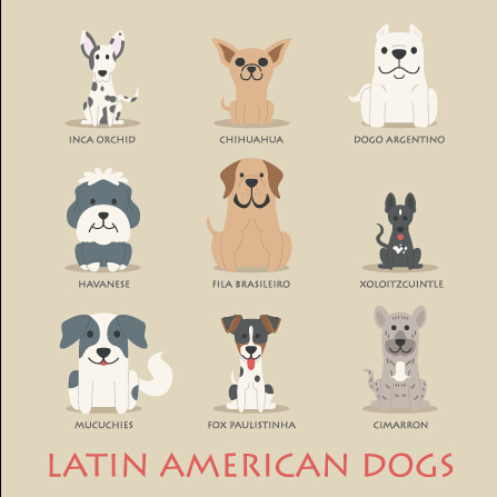 Latin american dogs icons vector