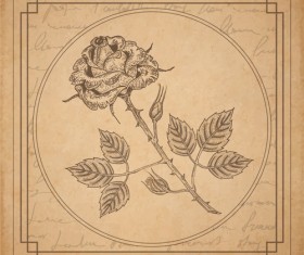 Old paper with floral background vector set 02