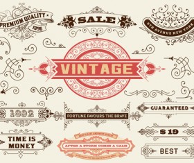 Ornamental elements and labels vintage style vector 04