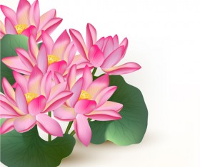 Pink lotus design elements vector