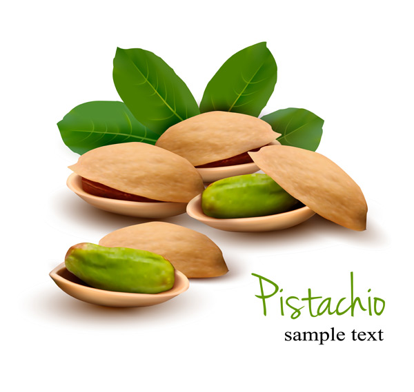 Realistic pistachio vector material