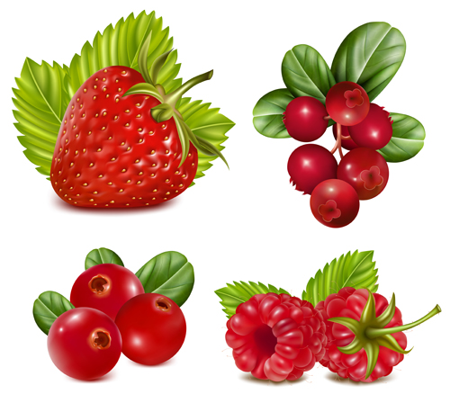 Red fruits vector set