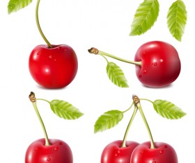Ripe cherries creative vector