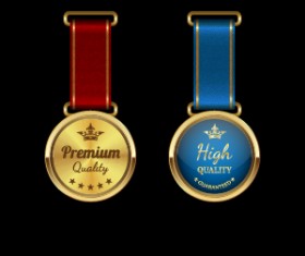 Sparkling award medal vector set 01