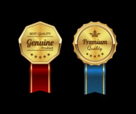 Sparkling award medal vector set 03