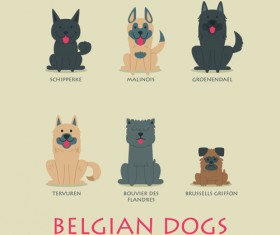 Vector belgian dogs icons set