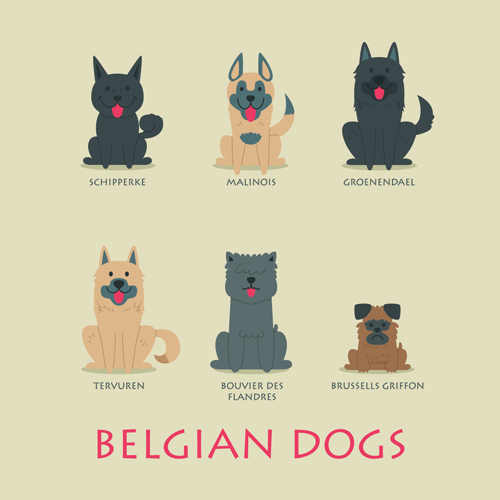 Vector belgian dogs icons set