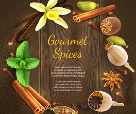 Vector gourmet spices background material 01