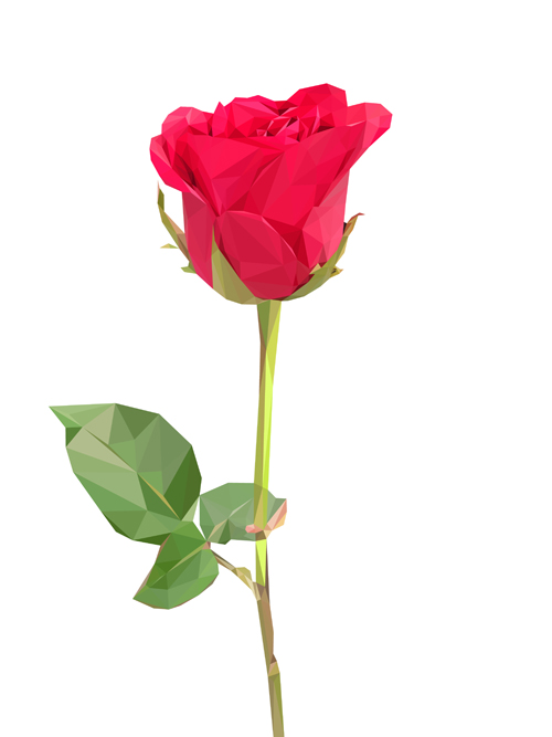 Beautiful roses vector material 03