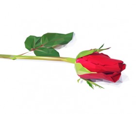 Beautiful roses vector material 04