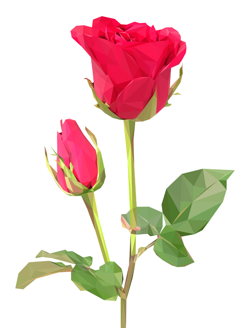Beautiful roses vector material 06
