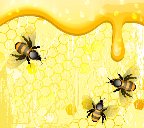 Bees and honey background vector design