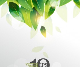 Bright green leaves backgrounds vector graphics 01
