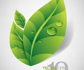 Bright green leaves backgrounds vector graphics 04