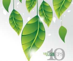 Bright green leaves backgrounds vector graphics 05