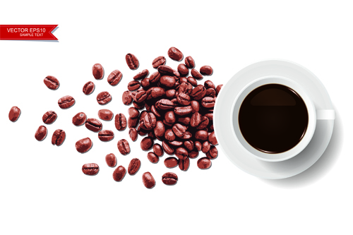 Coffee beans with white background vector 01