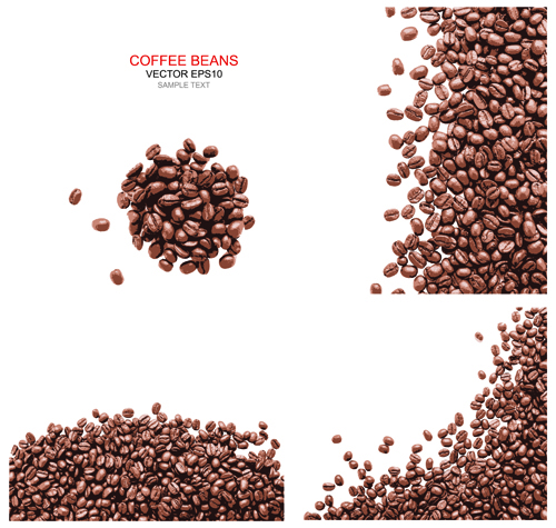 Coffee beans with white background vector 03