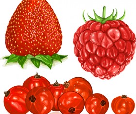 Fresh ripe summer berries vector material