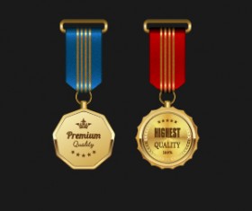 Gorgeous medal award vector 01