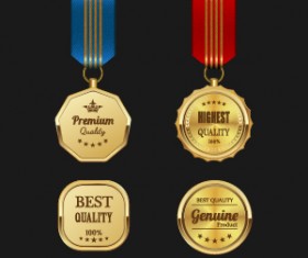 Gorgeous medal award vector 03