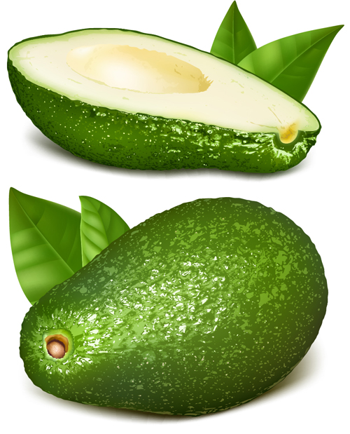 Green papaya vector material