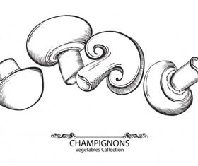 Hand drawn champignons vegetables vector material