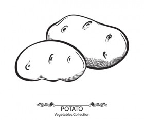 Hand drawn potato vegetables vector material