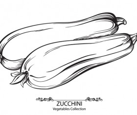 Hand drawn zucchini vegetables vector material