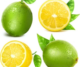 Juicy lemon creative vector 01