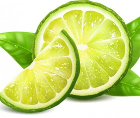 Juicy lemon creative vector 02