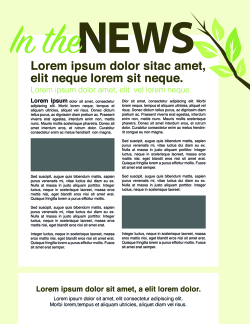 News page layout design vector 05