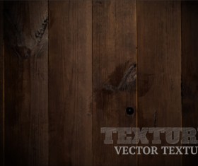 Realistic wood texture art background vector 05