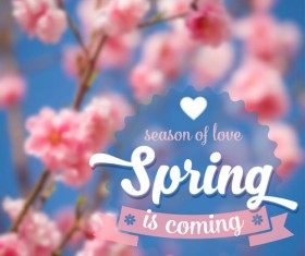 Spring flower blurred background vector set 01