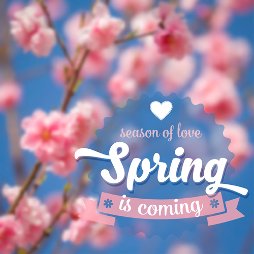 Spring flower blurred background vector set 01