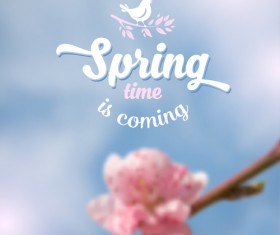 Spring flower blurred background vector set 02