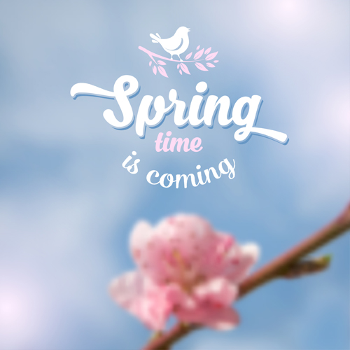 Spring flower blurred background vector set 02