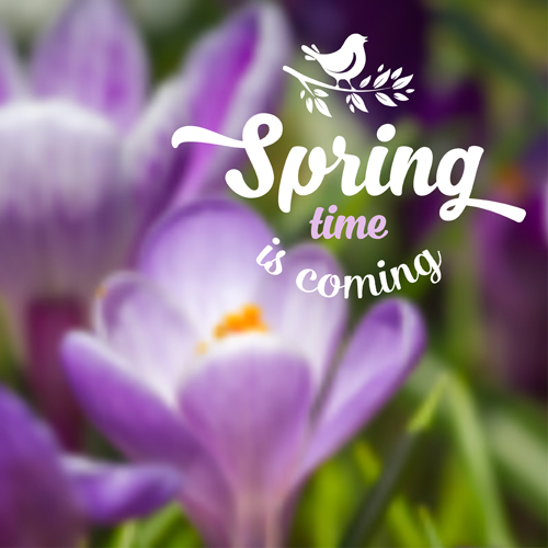 Spring flower blurred background vector set 03