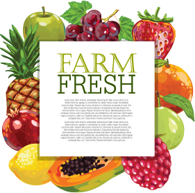 Vector farm fresh fruit background design 04