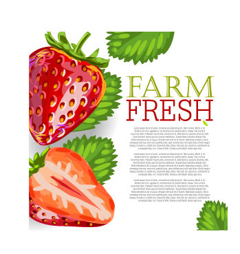 Vector farm fresh fruit background design 05