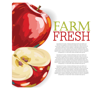 Vector farm fresh fruit background design 07