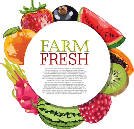 Vector farm fresh fruit background design 09