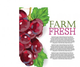 Vector farm fresh fruit background design 11