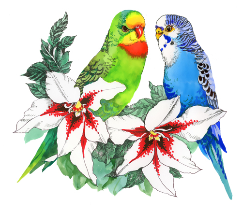 Watercolor drawn birds with flowers vector design 04