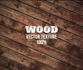 Wood texture grunge style background vector 02